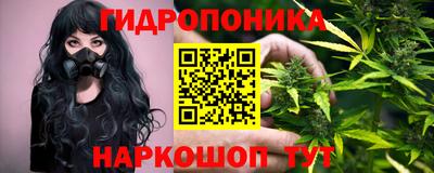 apvp Заводоуковск