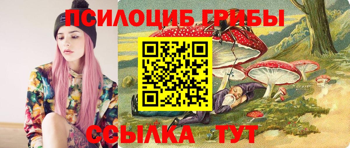 Псилоцибиновые грибы Psilocybine cubensis Мичуринск