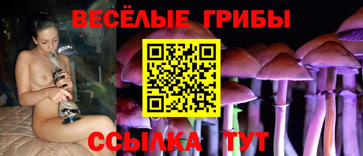 Мичуринск  Псилоцибиновые грибы ЛСД  Вход с VPN  Галлюциногенные грибы ЛСД 